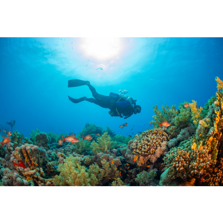 Plongée sous-marine et problèmes d'oreilles : ce qu'il faut savoir
