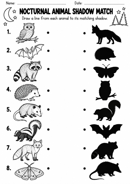 Nocturnal Animal Shadow Matching Worksheet