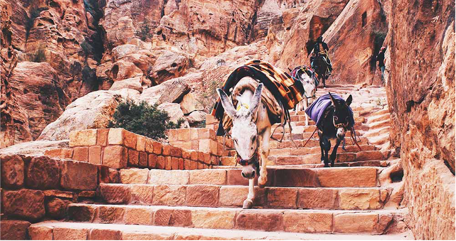 - Circuit Jordanie-: quoi visiter comme beau monument ou batiment ?