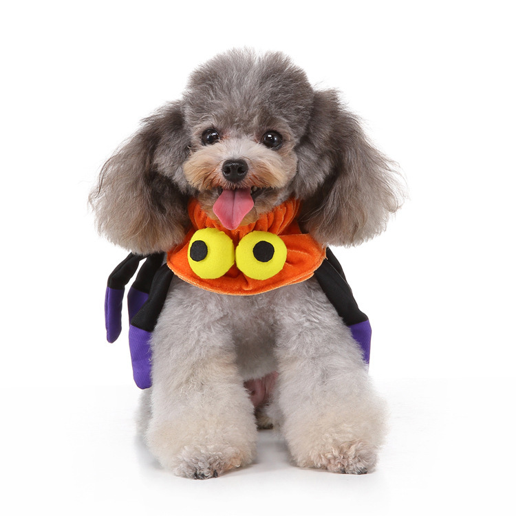 Elastic Polyester Collar for Parties and Occasions