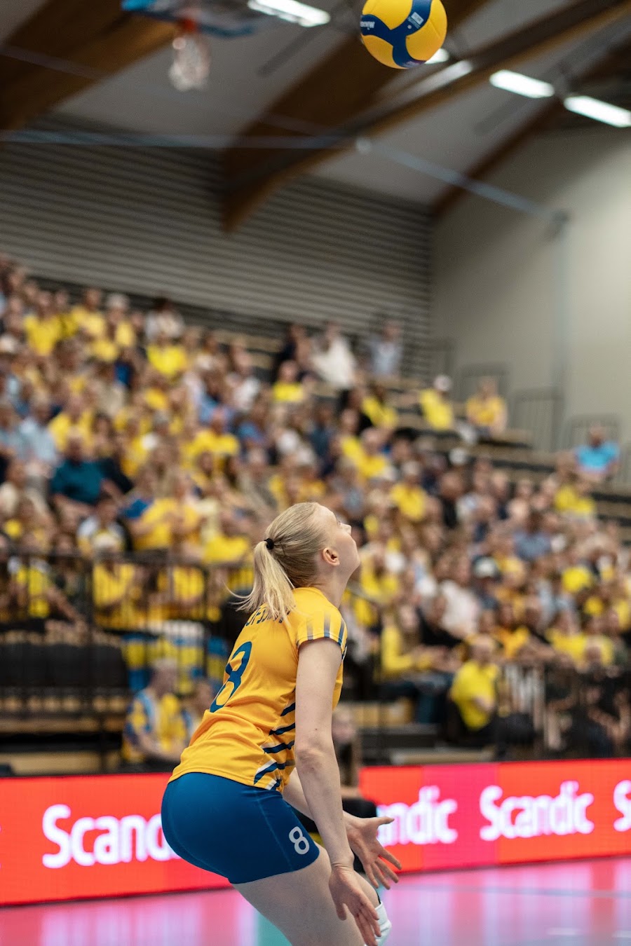 Sweden Slovenia 302