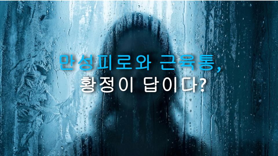 만성피로와 근육통, 황정이 답이다?