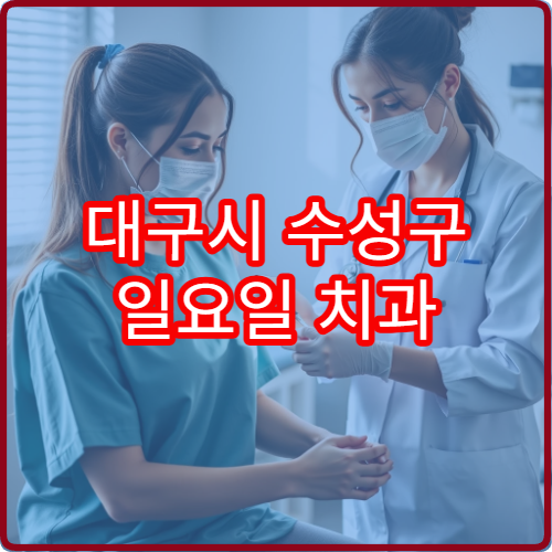 대구시 수성구 일요일 치과 진료 가능한 병원 정리한 상세 정보