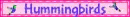 Graphic Webp 3765651
