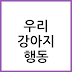 강아지 치매 행동을 일시적 변화로 오해하는 이유