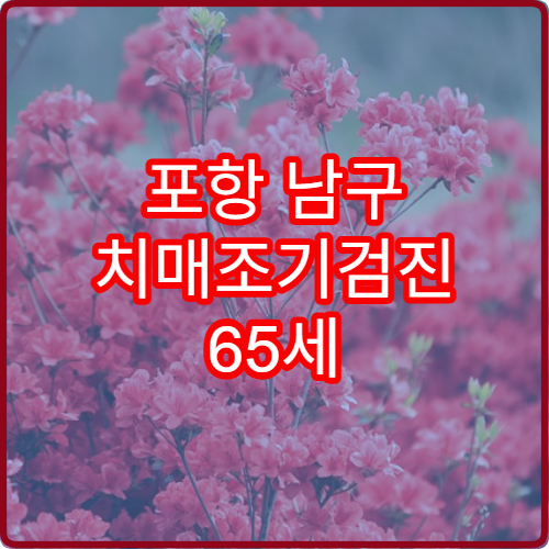 포항 남구 치매조기검진 65세 2026 무료 신청 기간