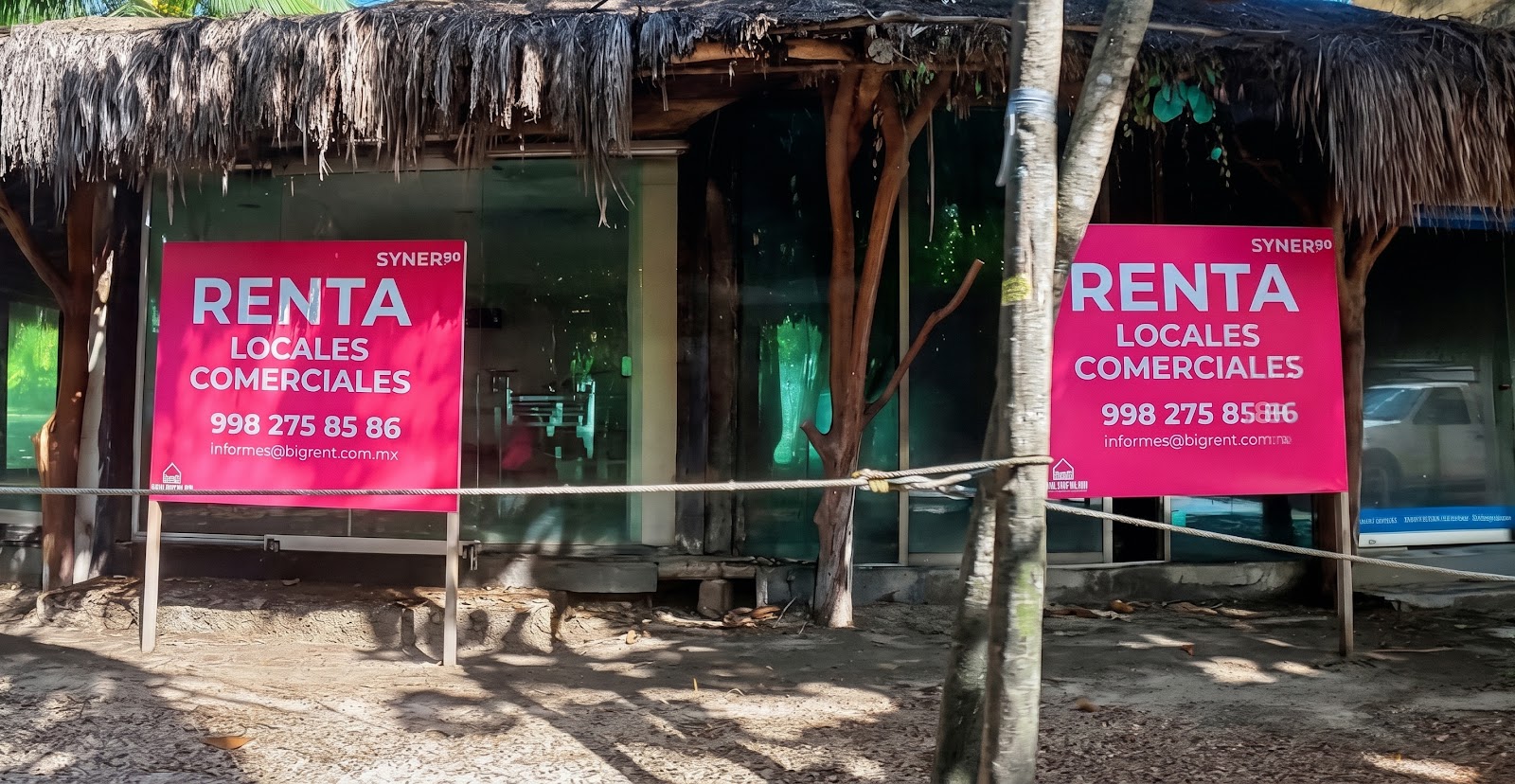 Imagen del artículo