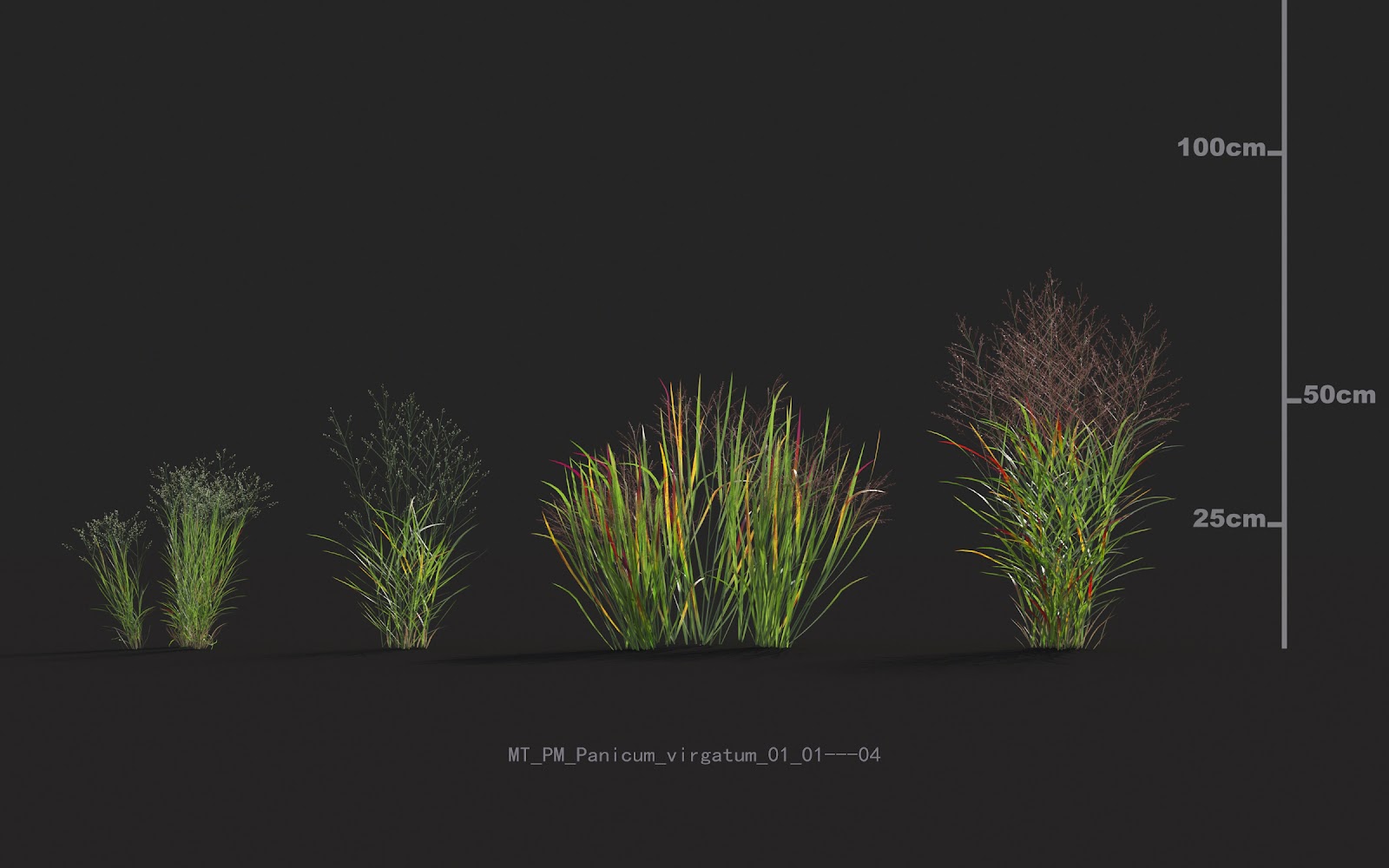 Maxtree - Plant Models Vol.20