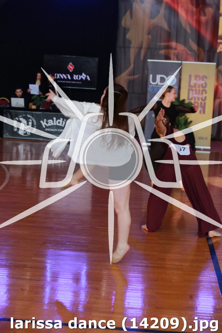 larissa dance (14209).jpg