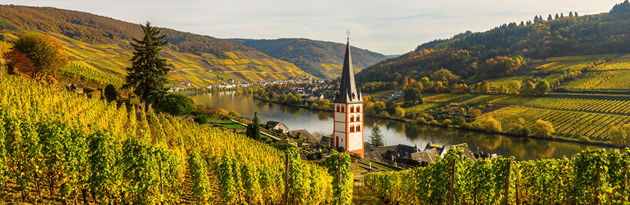 Merl, Germany Vineyard