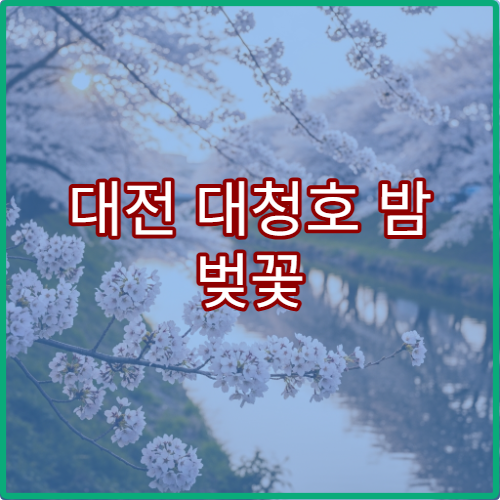 대전 대청호 밤 벚꽃 야경 최고 시간과 데이트 팁