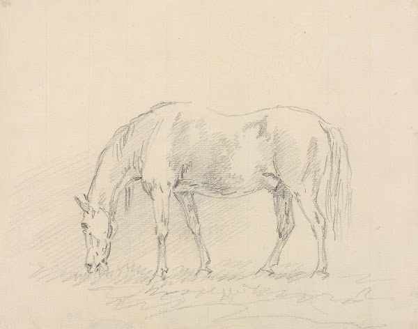 Horse Grazing