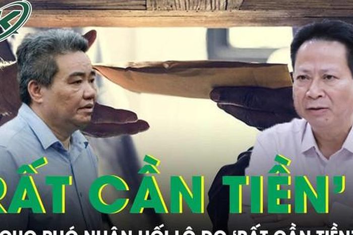 Cựu cục phó nhận hối lộ do 'rất cần tiền', đang rất yếu chưa thể về nước - Báo Sức Khỏe &amp; Đời Sống