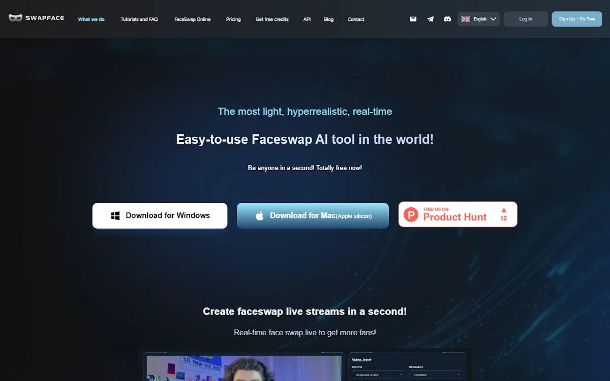 Captura de Swapface.org