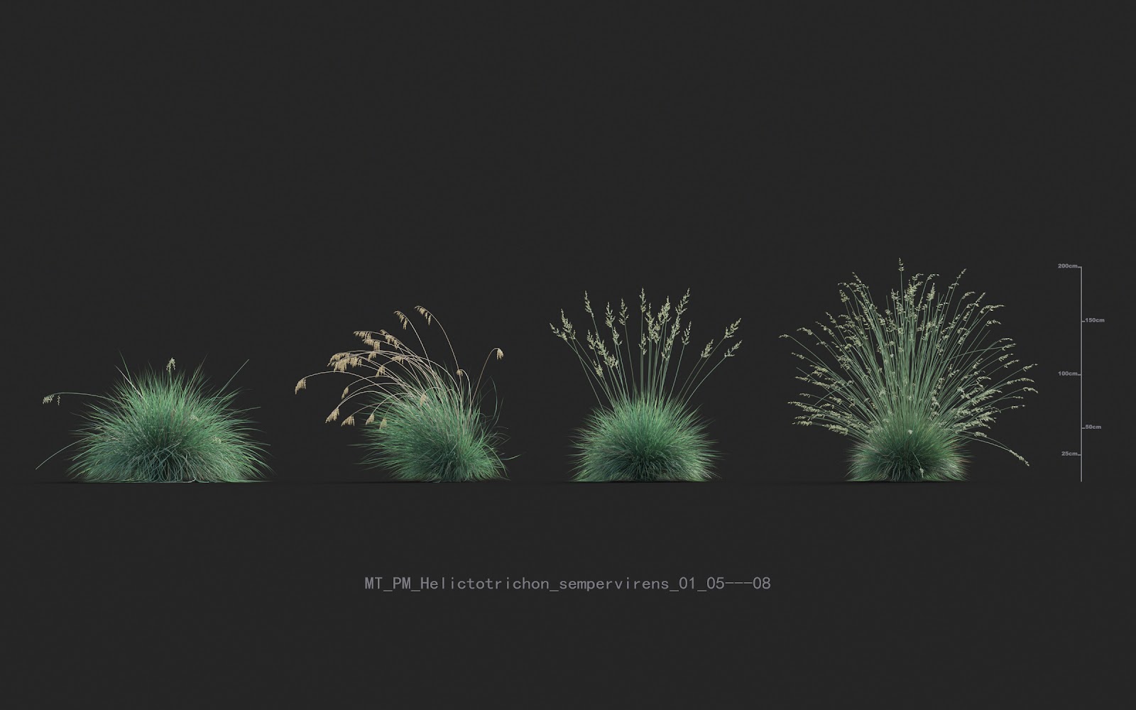 Maxtree - Plant Models Vol.20