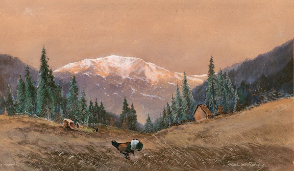 A capercaillie at the edge of a wood at sunset 1912