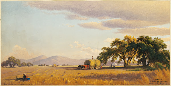 Harvesting near San Jose California 1874