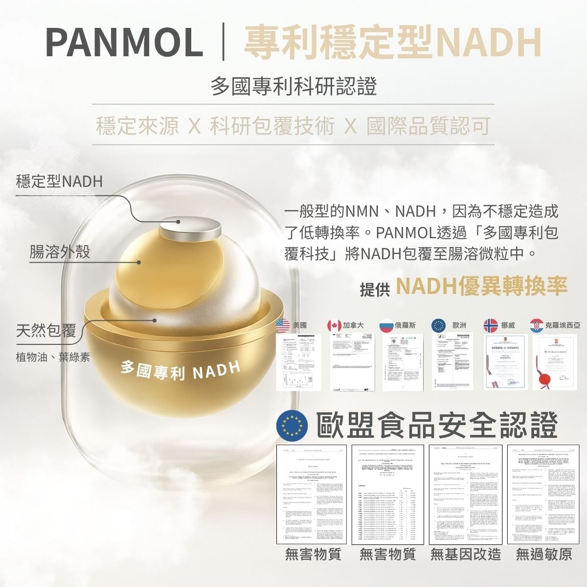 9合1 NMN 原料介紹 2