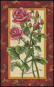 CMP 170246 Splendor Of A Rose