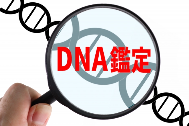 汚れた下着は浮気の証拠になる？DNA鑑定の可能性と注意点