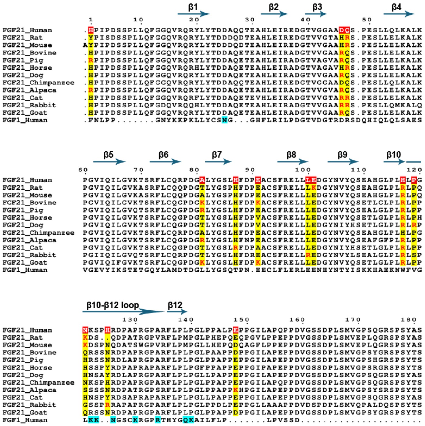 Novel FGF21 analogues through structure-based optimization for therapeutic development