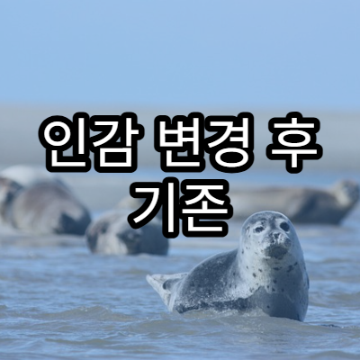 인감 변경 후 기존 인감증명서 효력 인정 여부 설명