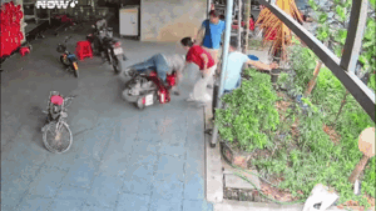 Cô gái nói 2 từ khi về đến sân nhà, cái kết khiến cả nhà phải trích camera đăng lên mạng - Tạp chí SaoStar
