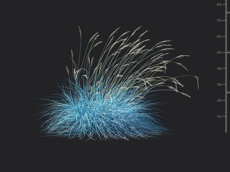 Maxtree - Plant Models Vol.115