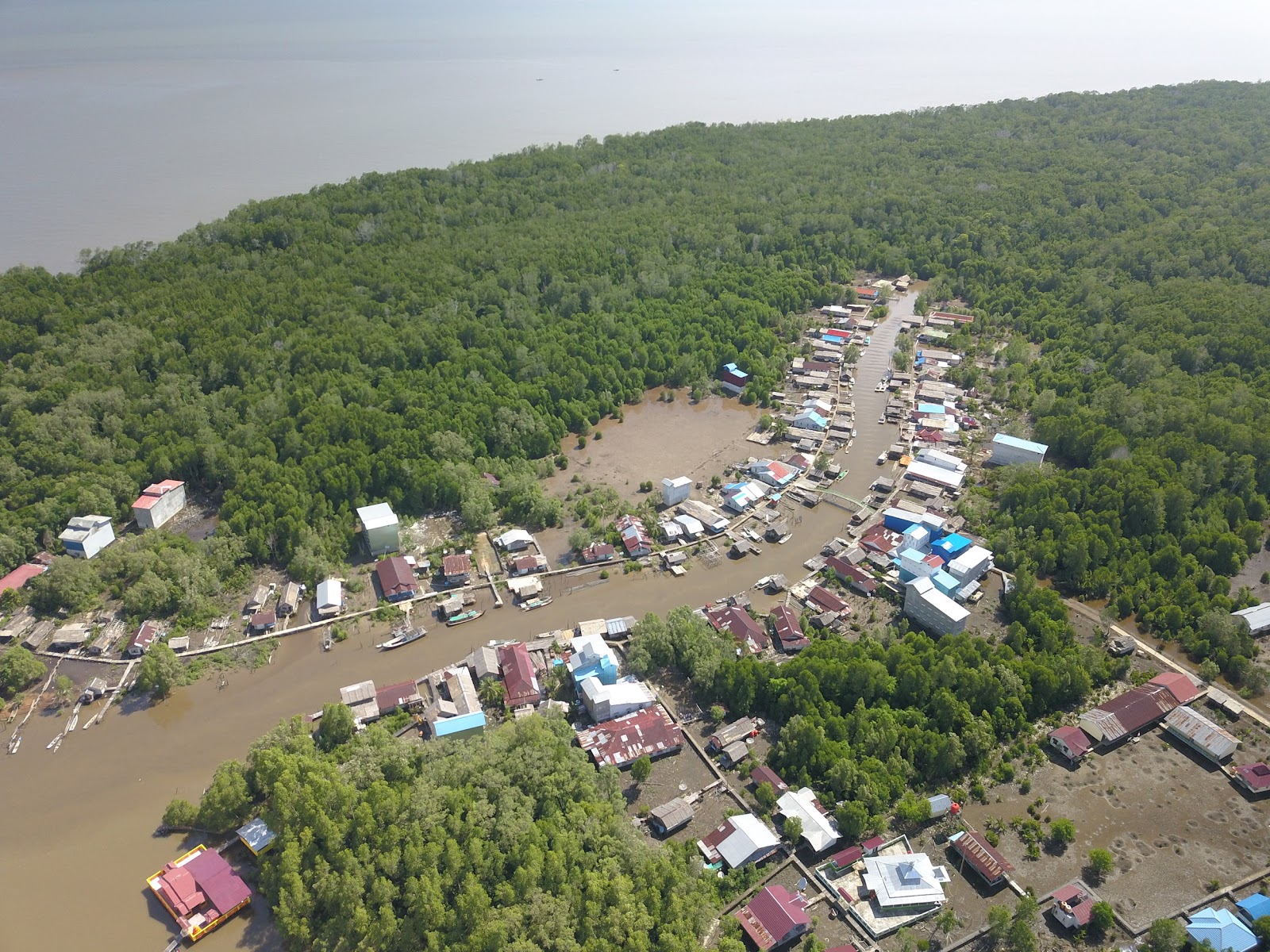 The Mangrove Ecosystem as a Natural Solution to Preventing and Addressing Climate Change, Including Rising Temperatures and Sea Level Rise.