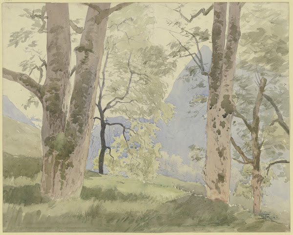 Schwarzwaldlandschaft Blick vom Waldesrande auf die Berge 1862