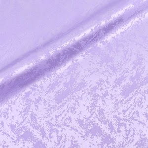 蜃気楼 フジ