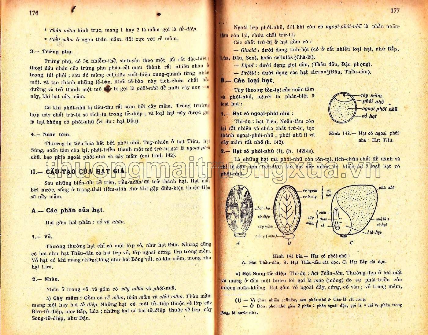 Vạn vật học đệ nhị A (1965) - Trang 88