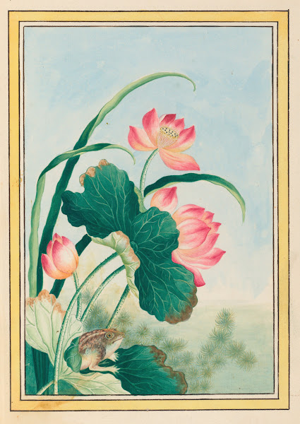 Plantes de Chine Pl027 1776
