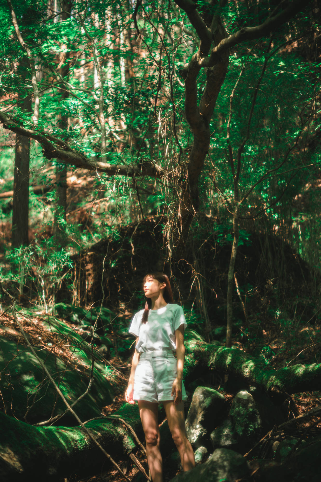 Portrait — Makino Shota