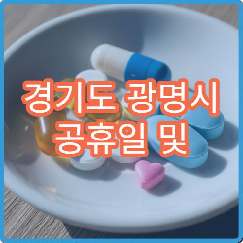경기도 광명시 공휴일 및 대체 공휴일 내과 진료 병원 운영 안내
