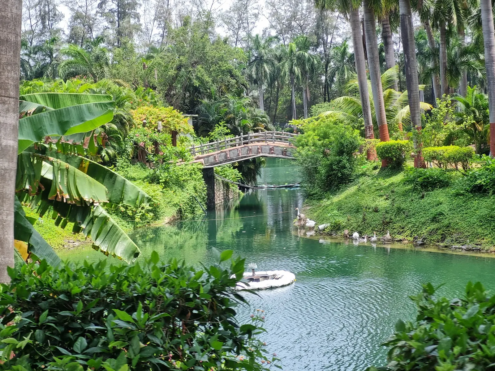 Mirasol Lake Garden