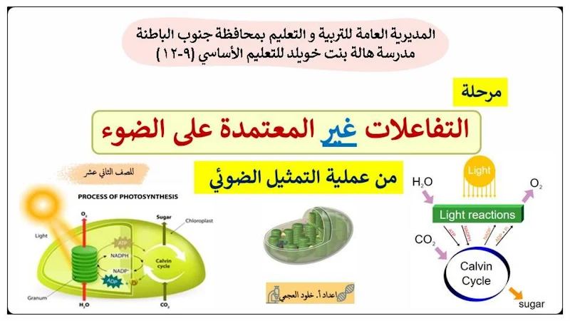 صورة الغلاف