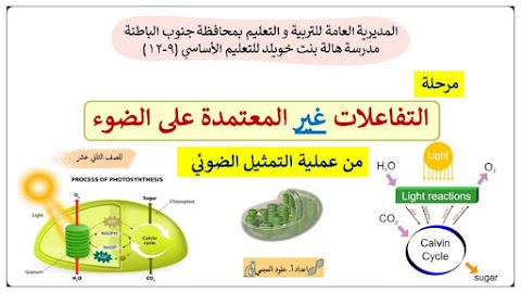 شرح درس مرحلة التفاعلات غير المعتمدة على الضوء من عملية التمثيل الضوئي - أحياء الصف 12 الفصل 2