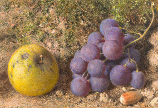 Apple Grapes and a Cob Nut ca 1850
