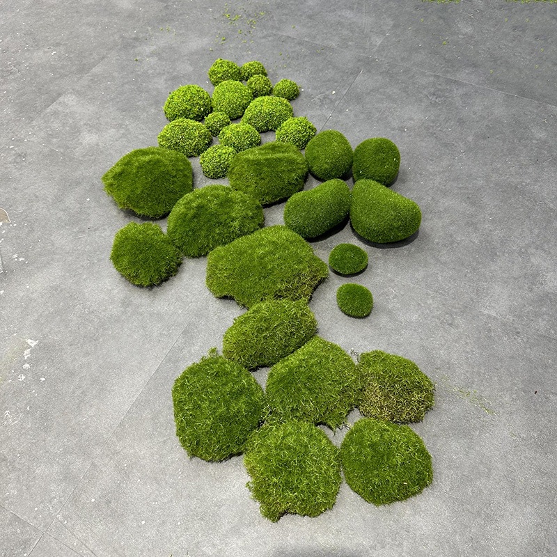 Dried Java Moss Portion