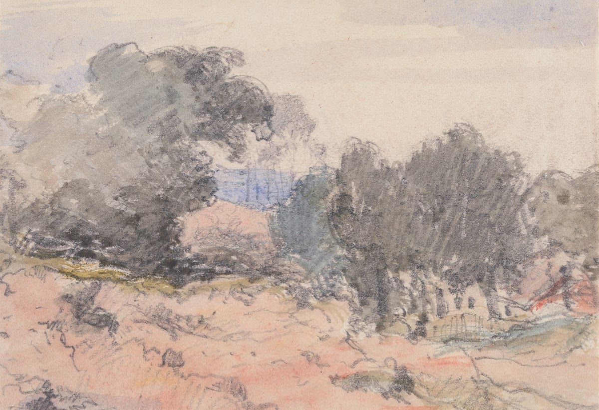 Landscape House and Trees
