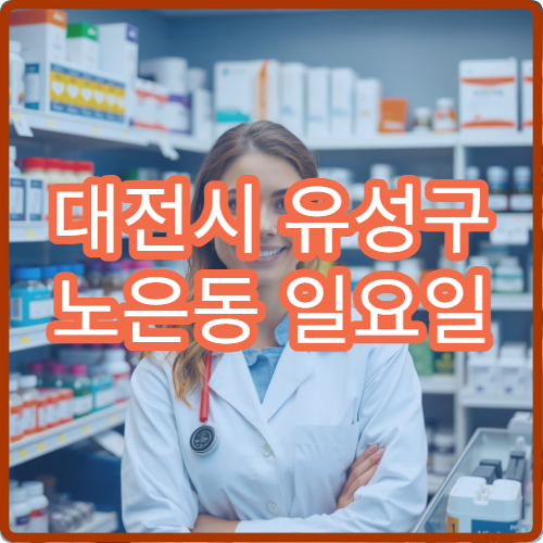 대전시 유성구 노은동 일요일 당직약국 신도시 주말 약국