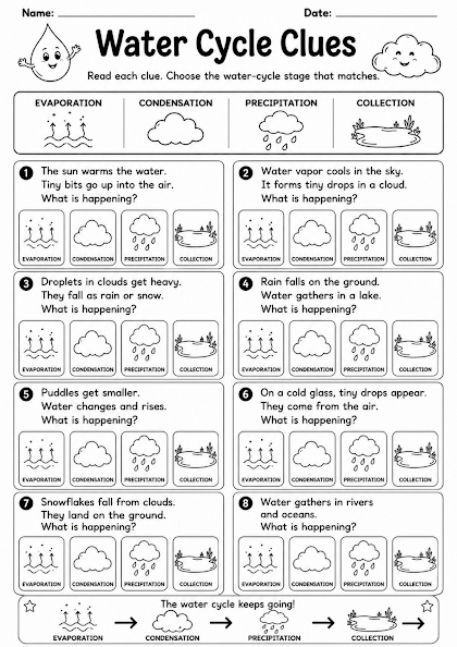Water Cycle Clues
