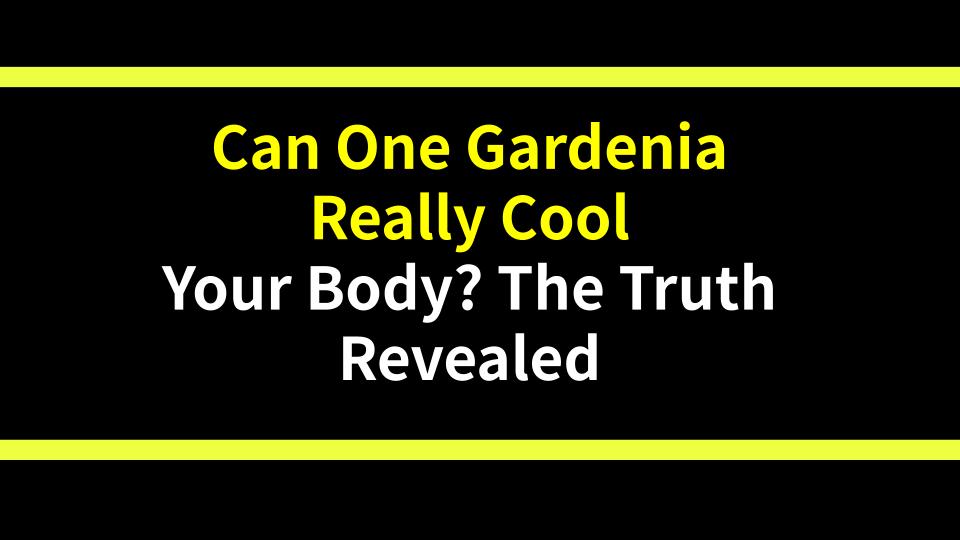 Can One Gardenia Really Cool Your Body? The Truth Revealed