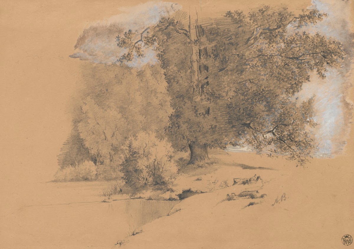Waterside Trees 1883