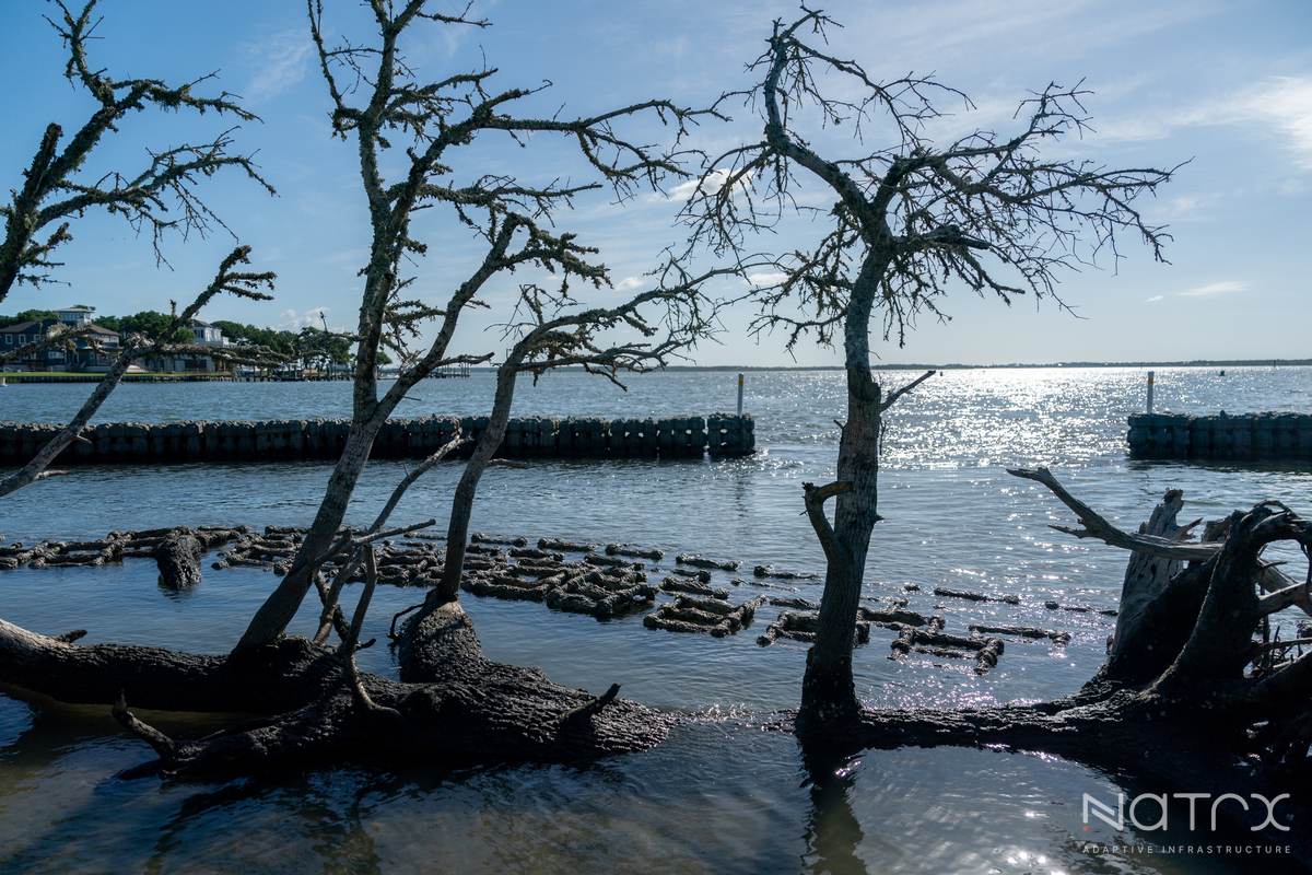 MY PRO PHOTOGRAPHER (144 of 243).jpg