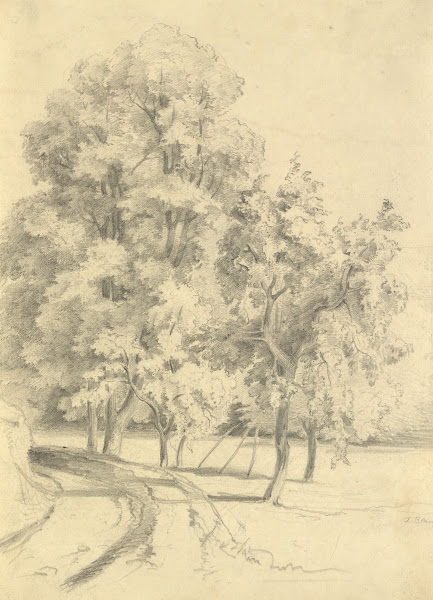 Prater 1880
