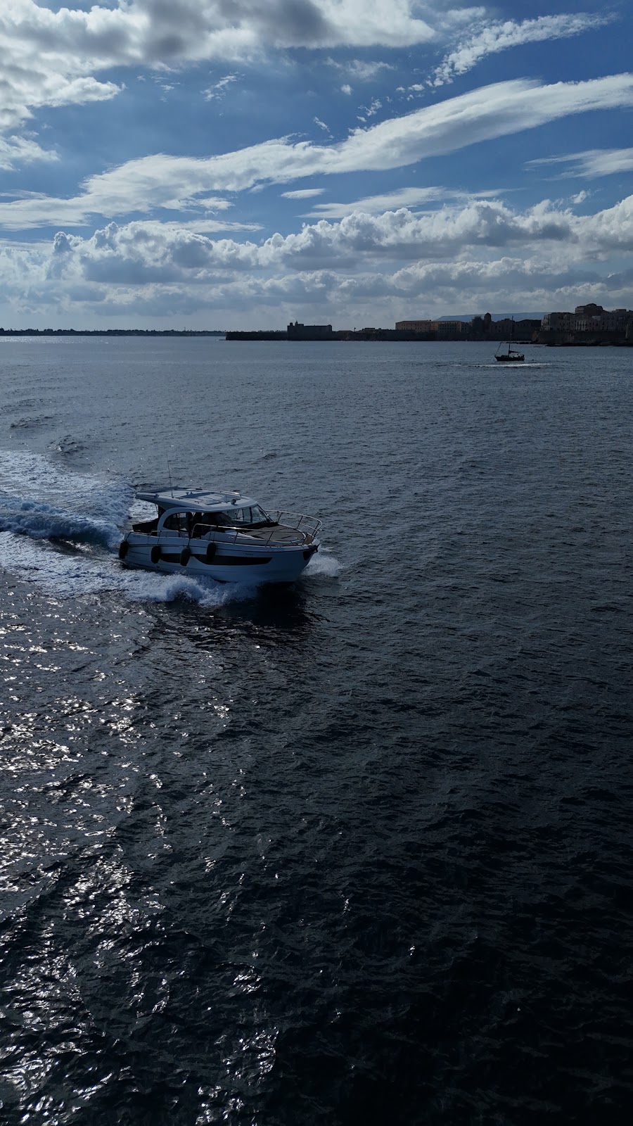 Vega Charter 20