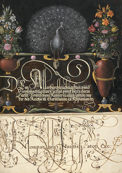 Flower Arrangements Peacock Butterflies and Insect 15611596