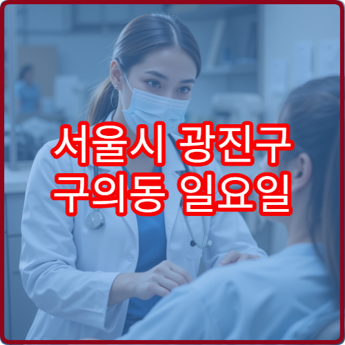서울시 광진구 구의동 일요일 정형외과 진료 병원 안내 주말 정형외과 진료 정보